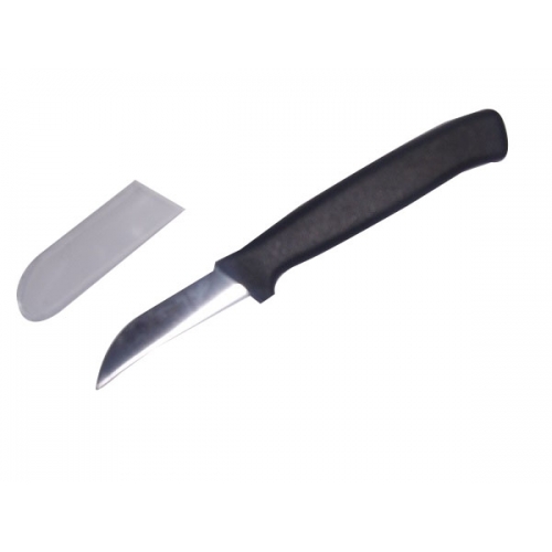 Couteau à poissons d'éviscération pro lame 6cm